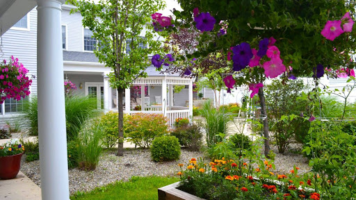 A vibrant garden filled with colorful flowers and lush greenery, creating a serene outdoor space.