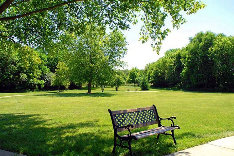 A peaceful park scene with a wooden bench under lush green trees.