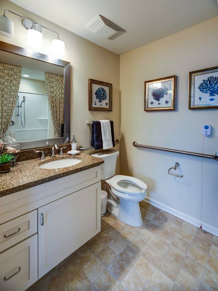 A well-lit bathroom with a sink, toilet, and decorative elements.