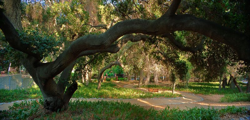 Royal Oaks,  a CCRC