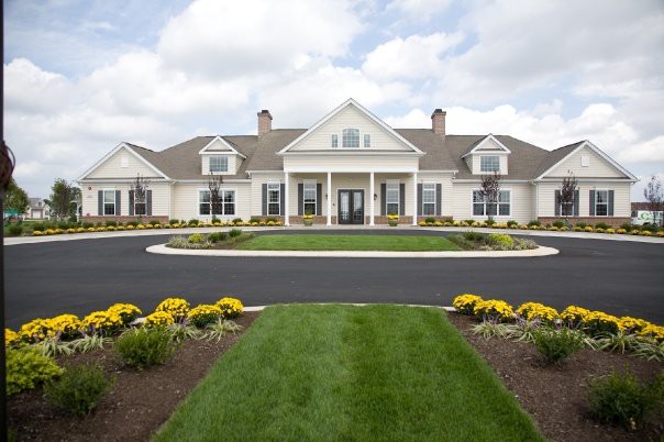 Spring Arbor