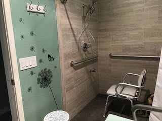 An accessible bathroom with a shower seat and grab bars, featuring decorative elements on a green wall.