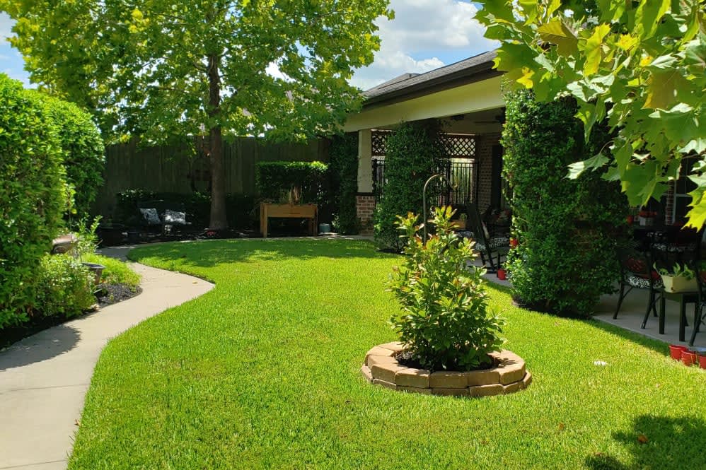 A beautiful garden with lush green lawn and surrounding trees next to a house.