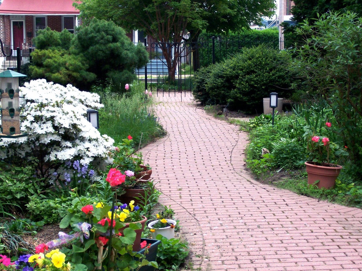 A peaceful garden pathway lined with vibrant flowers and lush greenery.