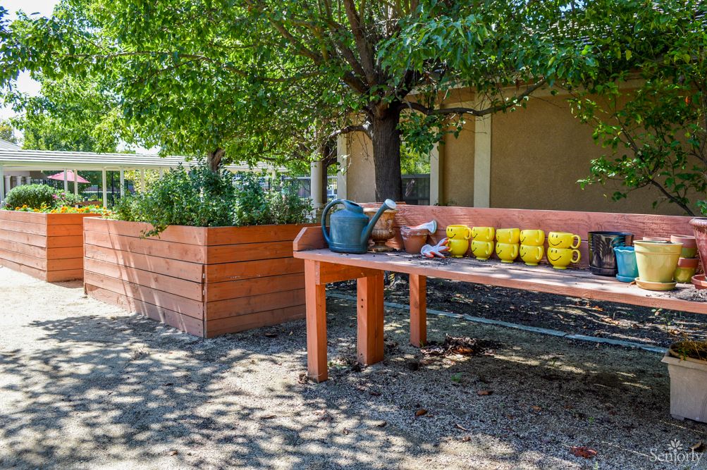 A garden scene with a bench, watering can, and rows of pots under a tree.