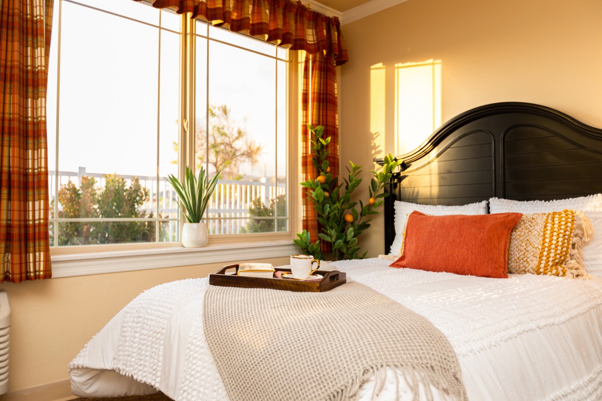 A cozy bedroom with soft sunlight streaming through the window, featuring a neatly made bed with throw pillows and a blanket, complemented by plants and warm decor.