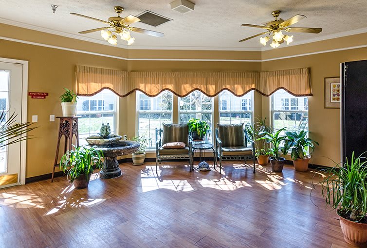 A bright living room with large windows, ceiling fans, and various potted plants.