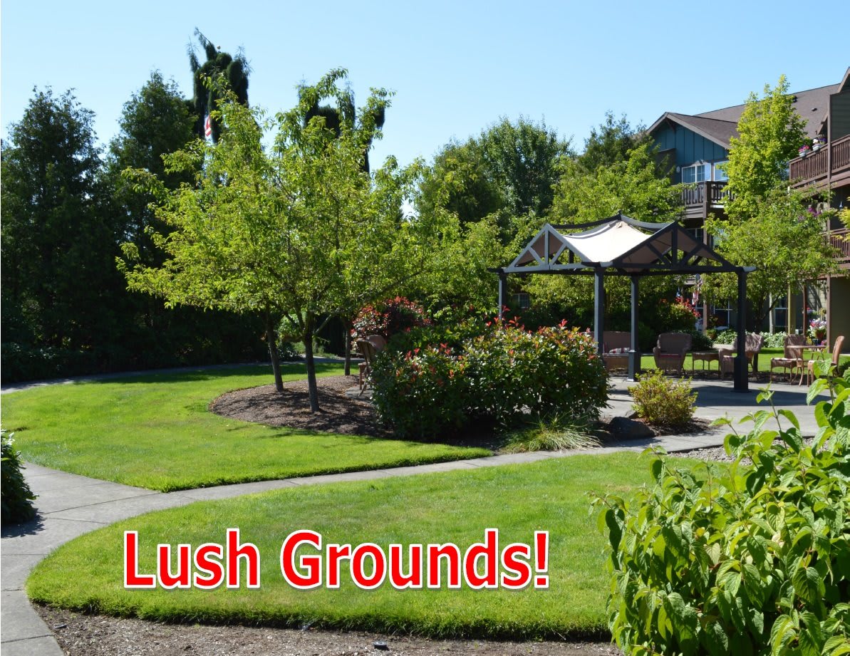 A beautifully landscaped garden with a gazebo and lush greenery.