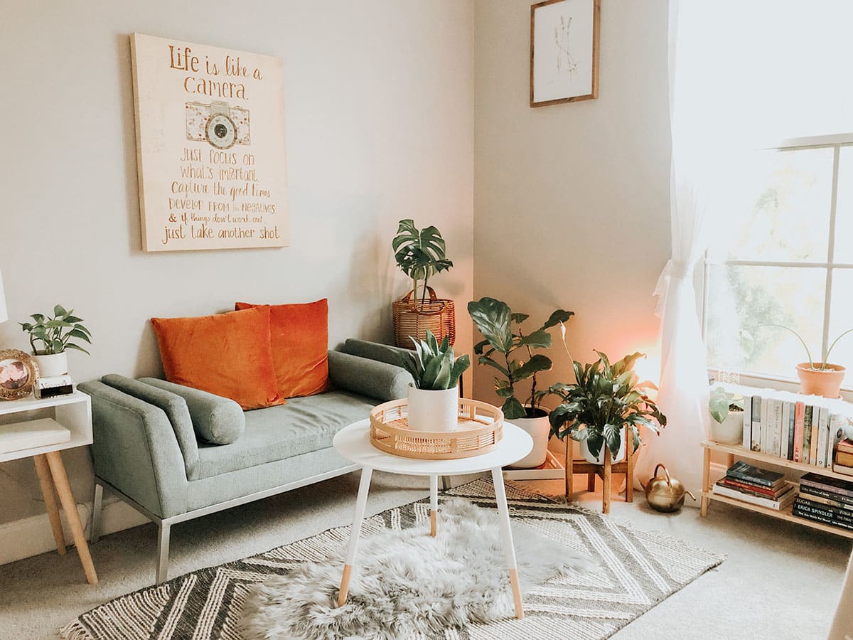 A cozy living room with a comfortable sofa, lush plants, and stylish decor.
