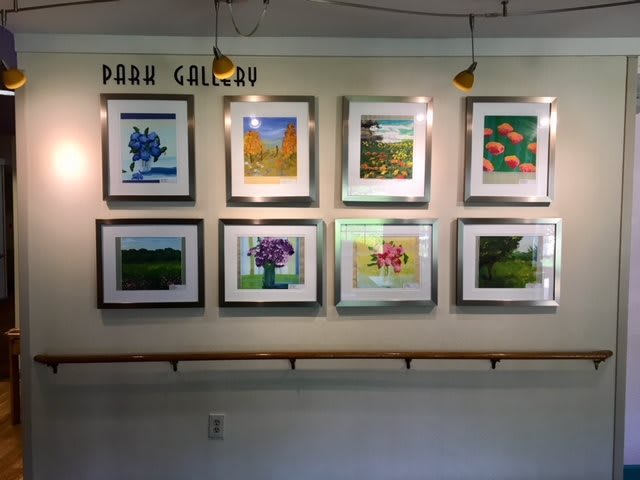 A wall in an art gallery displaying a series of colorful framed photographs.