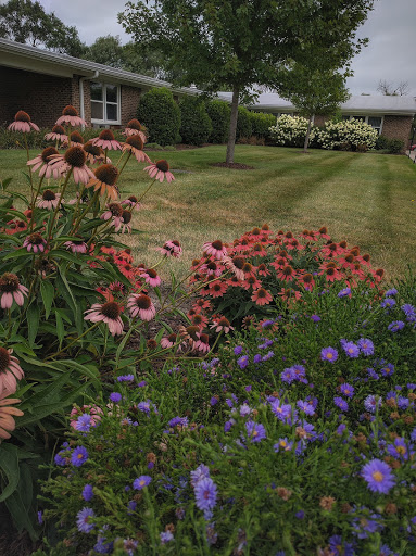A vibrant garden full of blooming flowers, showcasing a variety of colors and types, set against a well-maintained lawn.