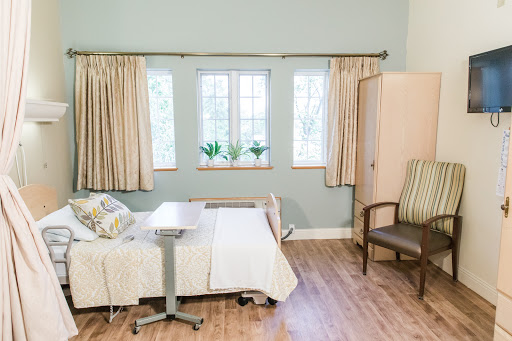 A well-lit hospital room featuring a patient bed, comfortable seating, and decorative plants.