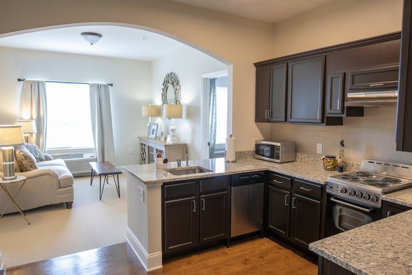 A modern kitchen with dark cabinets opens into a living room, featuring stylish home decor and appliances.