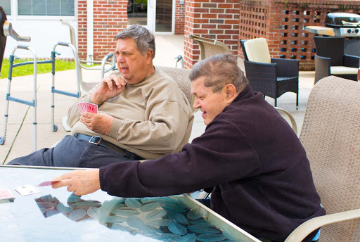 Two senior men enjoying a leisurely moment together outdoors.