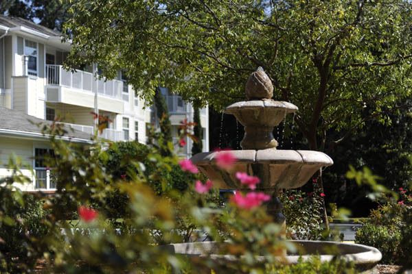A serene garden scene with a stone fountain surrounded by vibrant flowers and lush trees.