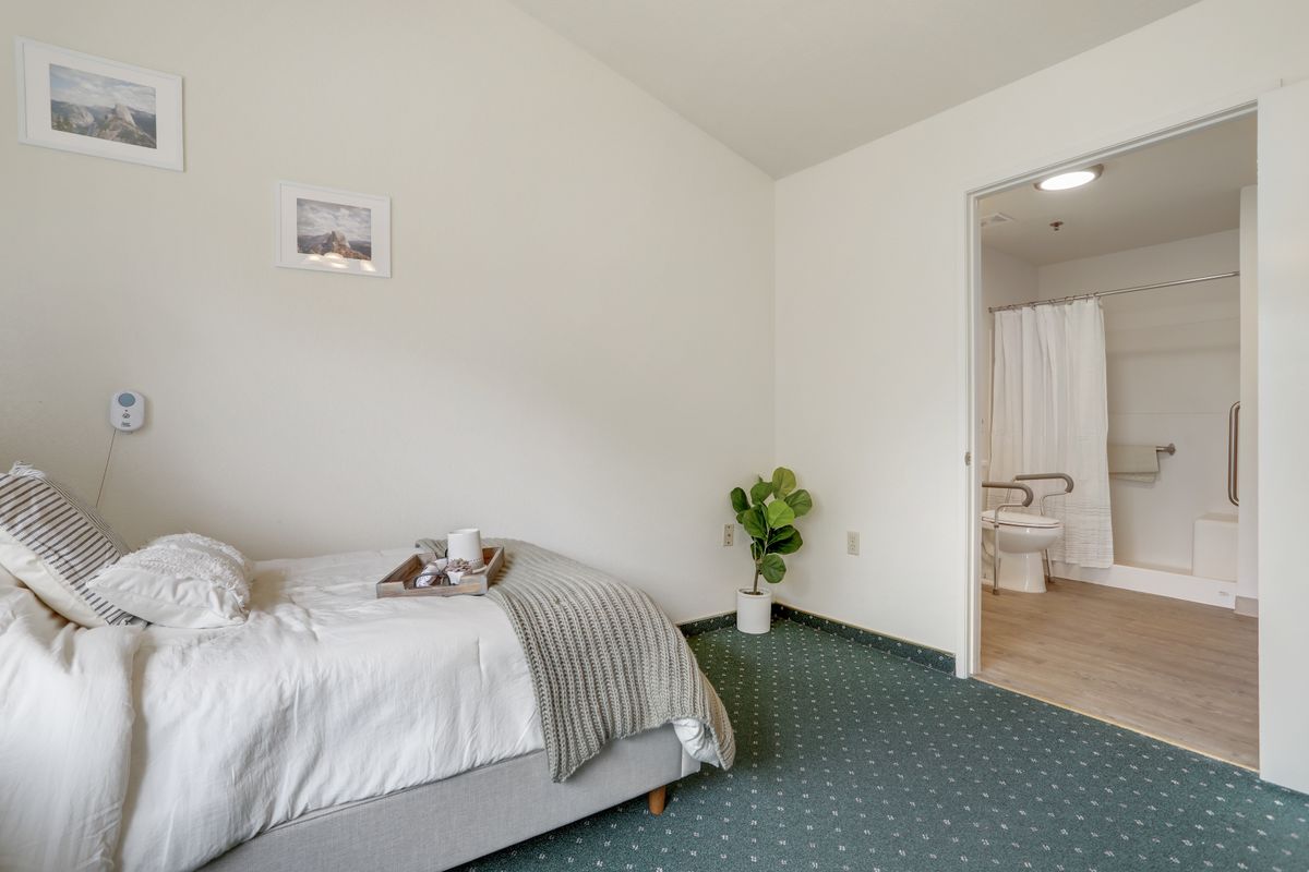 A minimalist bedroom with a neatly made bed, green carpet, potted plant, and an adjoining bathroom.