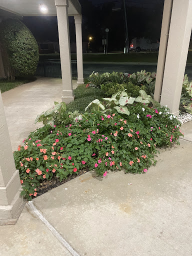 A flowering garden area illuminated at night, showcasing vibrant plants along a walkway.