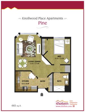 Floor plan of Pine apartment at Kneilwood Place Apartments, featuring a living room, dining area, kitchen, and one bedroom.