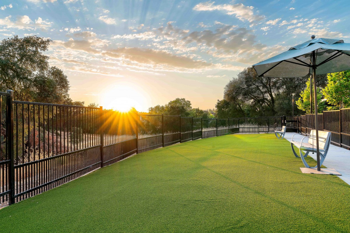 A serene sunset view over a grassy outdoor area with a fence lining the scene.