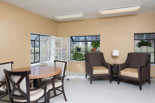 A cozy seating area featuring a round table and comfortable chairs, illuminated by natural light from large windows.