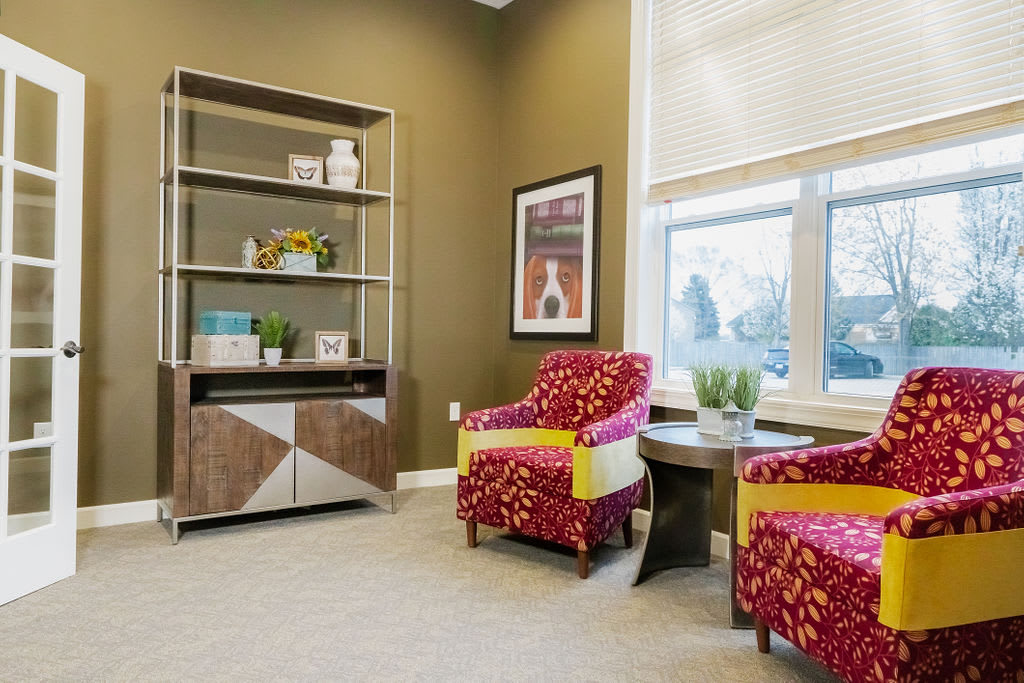 A cozy living room with vibrant armchairs and a bookshelf by the window.