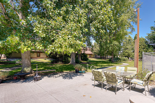 A serene outdoor patio area surrounded by lush greenery, perfect for relaxation and gatherings.