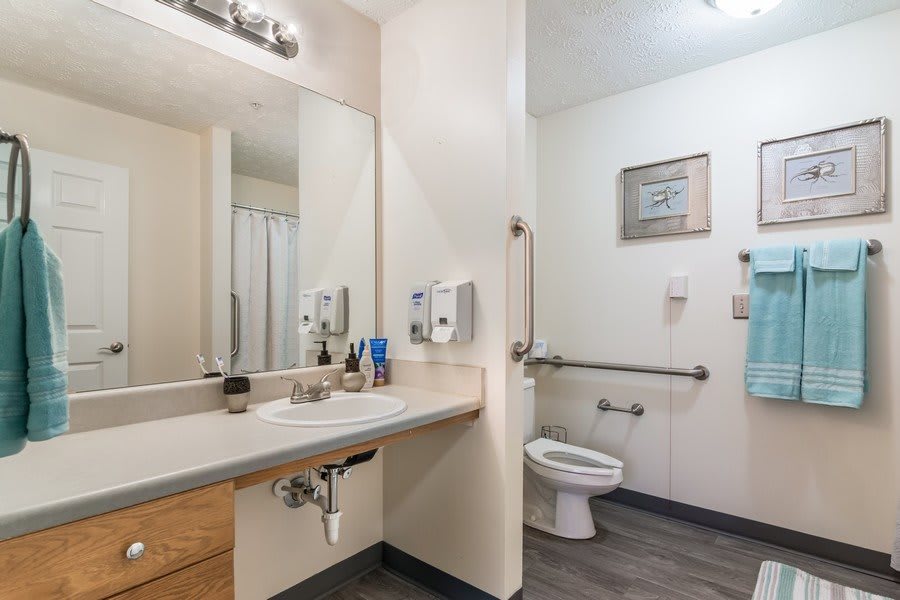 A modern accessible bathroom with a sink, mirror, and toilet equipped with handrails.