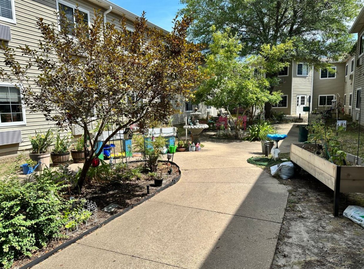 A sunny residential garden with a paved pathway surrounded by trees and plants.