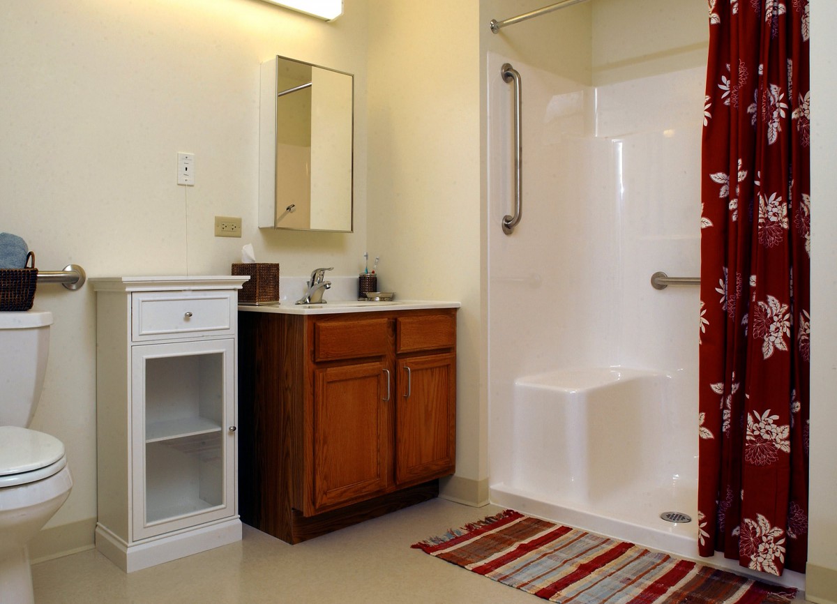 A modern bathroom with a shower, wooden cabinet, and striped rug.