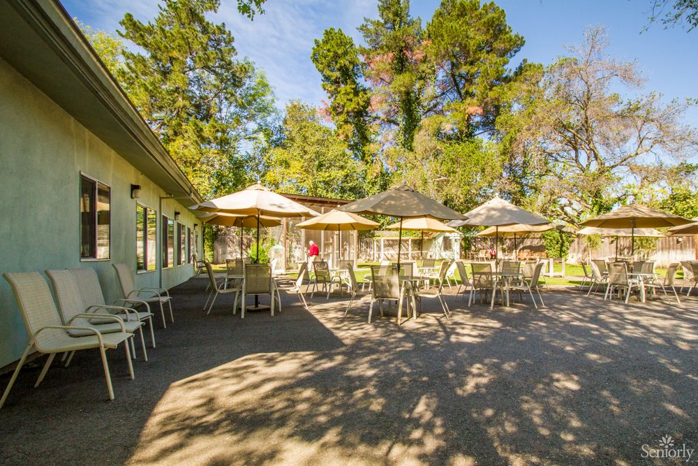 A sunny outdoor cafe patio with tables, chairs, and umbrellas surrounded by lush trees.
