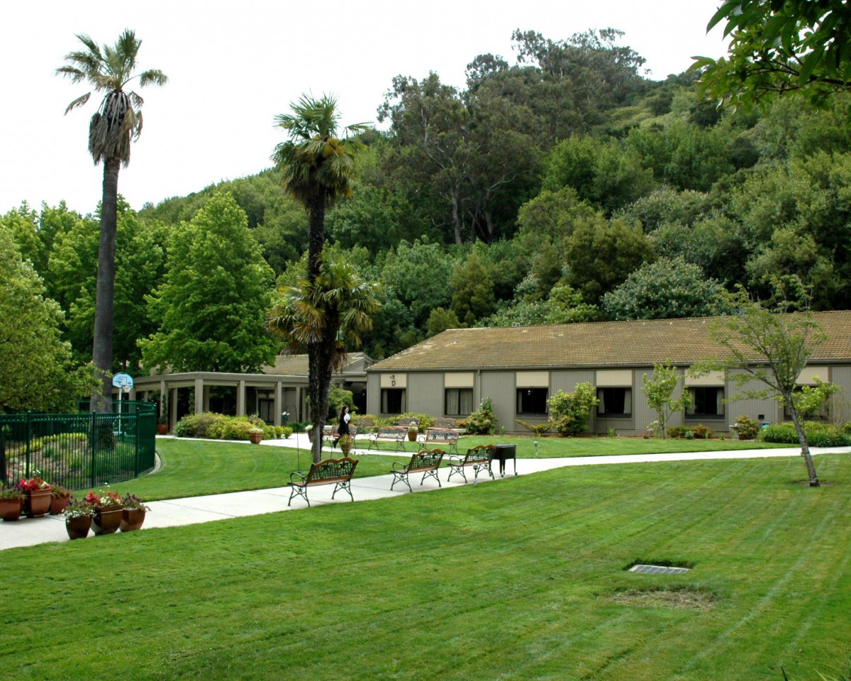 A serene view of a building surrounded by lush greenery and palm trees.