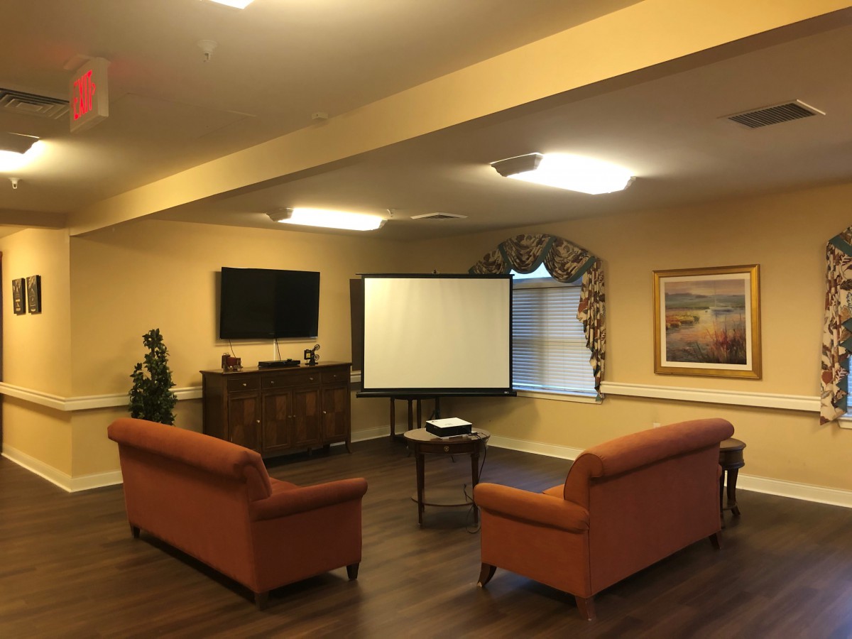 A cozy living room setup with two couches, a television, and a projector screen.