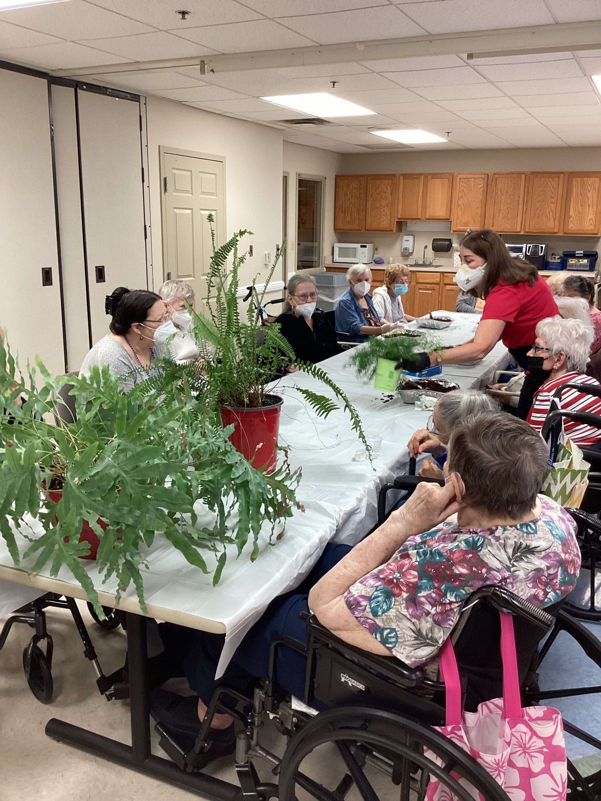 A group of elderly individuals participating in a plant-related activity inside a care facility.