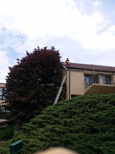 A person on a ladder works on the roof of a building surrounded by trees.