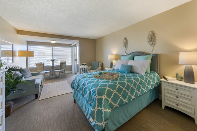 A modern bedroom with blue patterned bedding, a carpeted floor, and ample natural light.