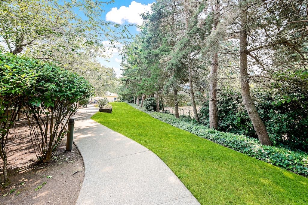 A serene pathway surrounded by lush greenery and tall trees.