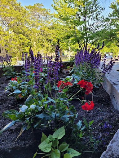 A vibrant garden filled with blooming flowers in shades of red and purple, surrounded by lush greenery.