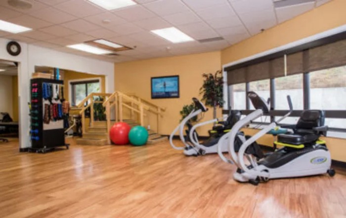 A modern fitness center featuring treadmills and exercise balls.
