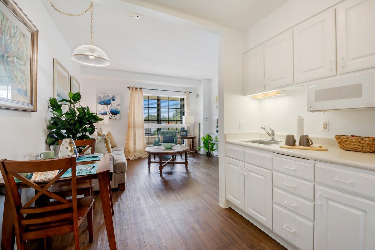 A bright and modern apartment featuring an open-plan kitchen and living area with wooden flooring.