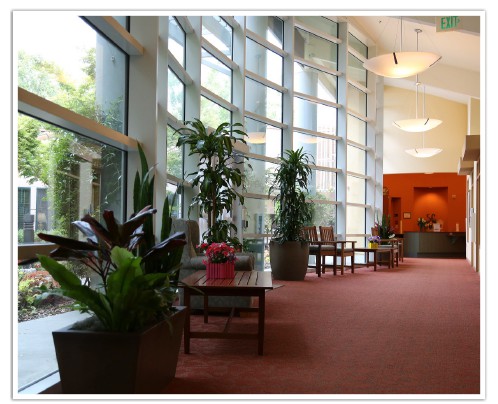 A spacious and well-lit lobby area with large windows, plants, and comfortable seating.