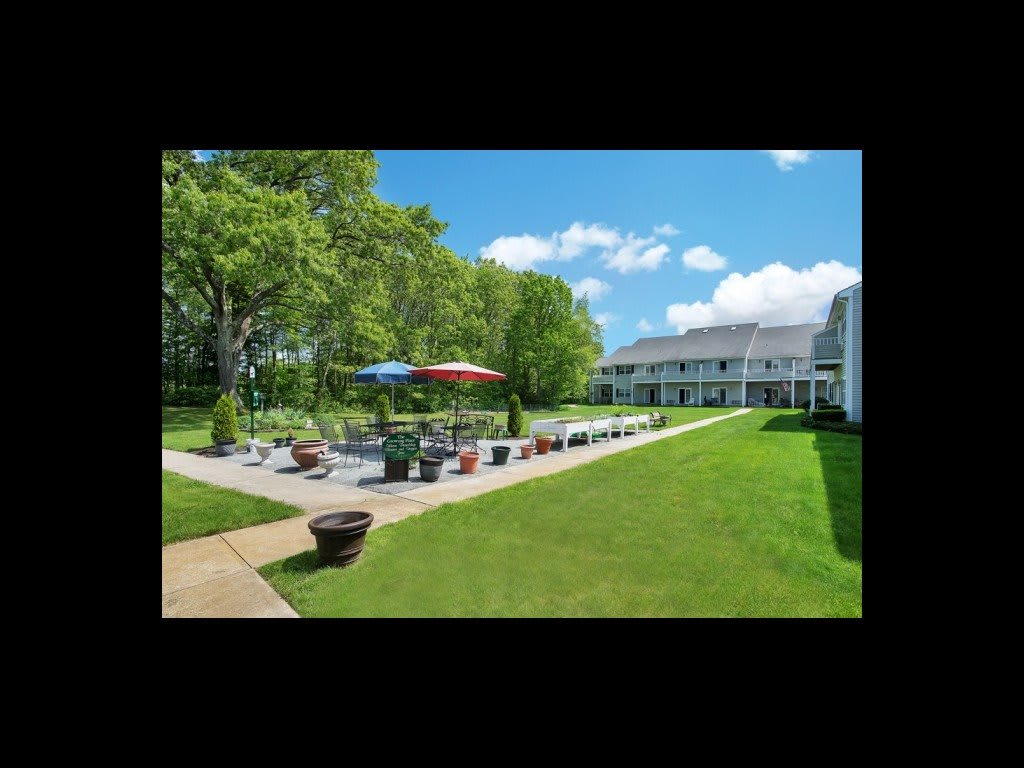 A sunny day at a patio area with colorful umbrellas, surrounded by green lawns and trees.