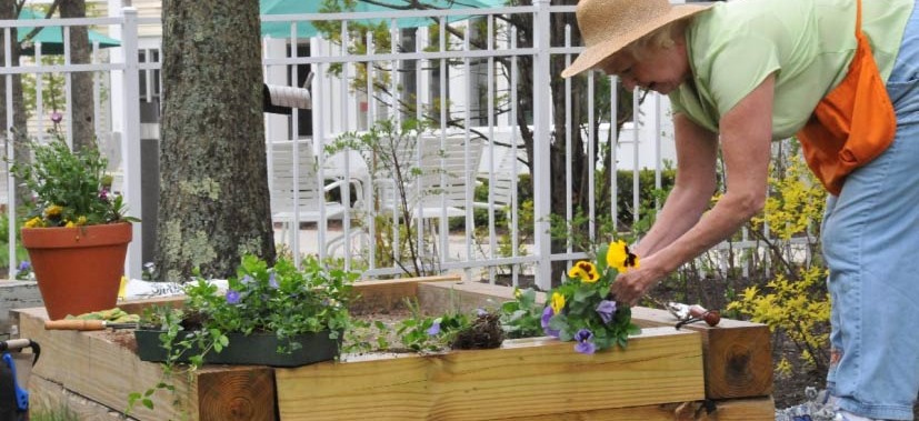 A person tending to flowers in a raised garden bed outdoors.