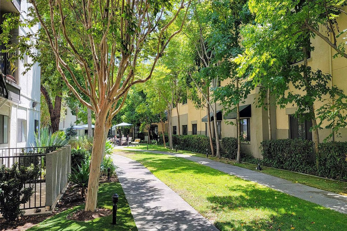 A sunlit pathway lined with trees and greenery alongside a building.