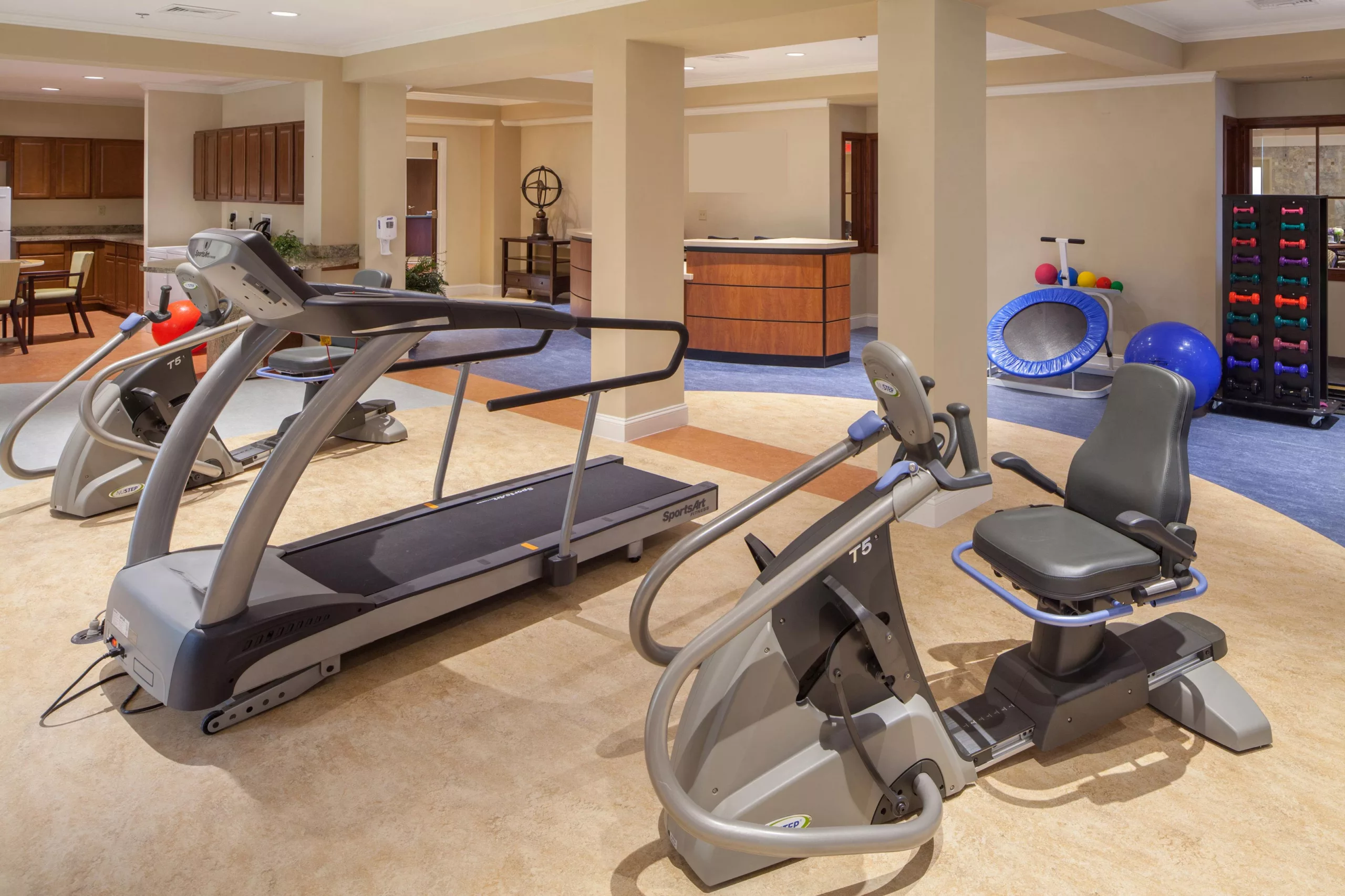 A well-equipped gym with various exercise machines, including treadmills and a stationary bike, in an indoor setting.