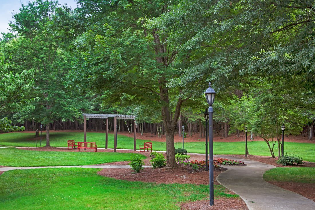 A serene park scene with trees, benches, and a winding pathway.