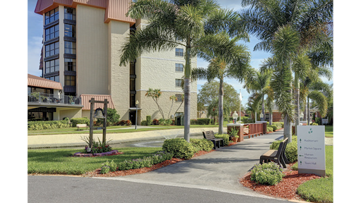 A scenic outdoor area featuring palm trees, benches, and a well-maintained pathway beside a modern building.