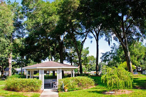 A serene park scene featuring a charming gazebo surrounded by lush greenery and tall trees.