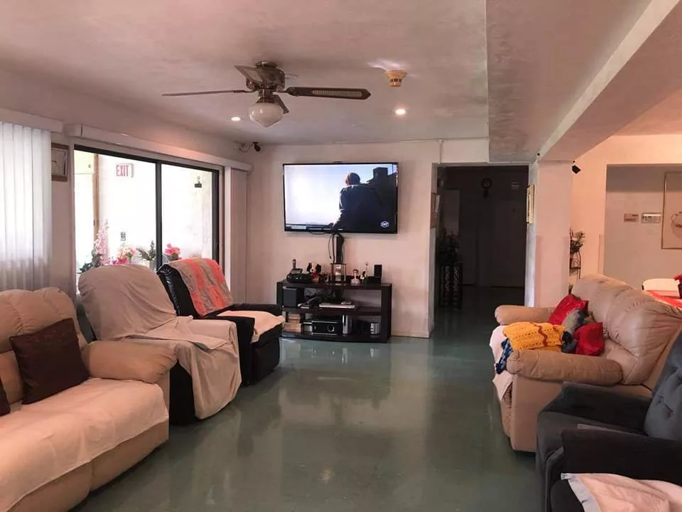 A cozy living room with sofas, a television, and a ceiling fan.