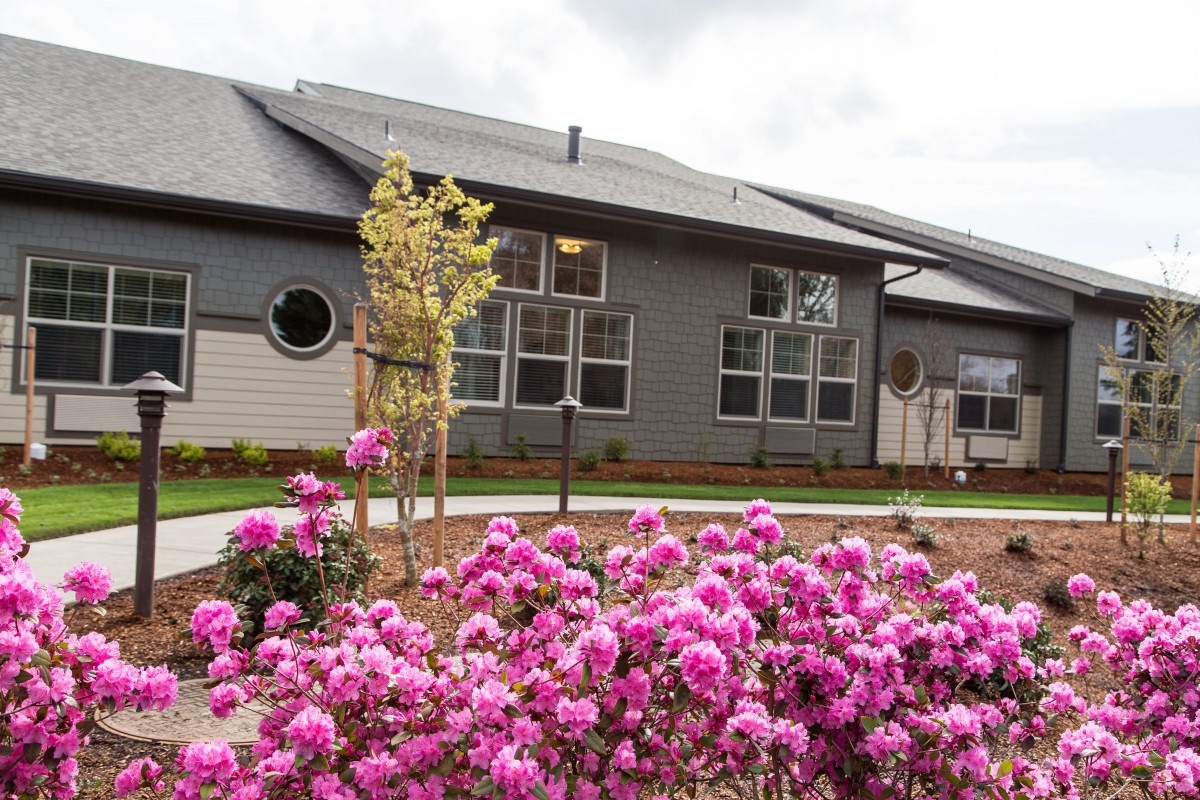 A modern house with a landscaped garden featuring vibrant pink flowers.