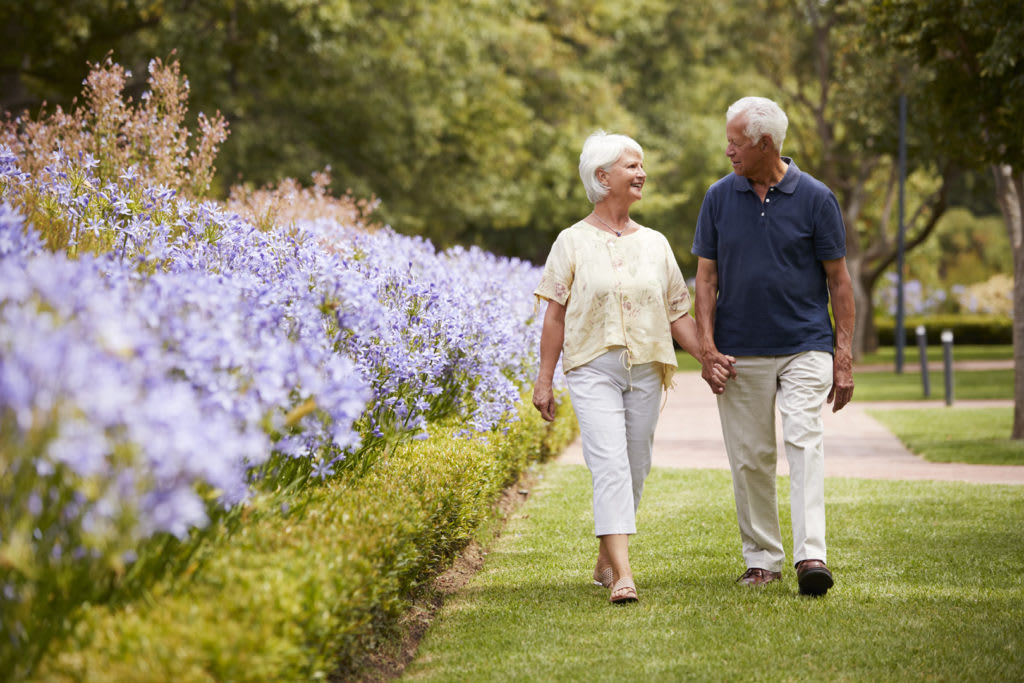 An elderly couple enjoying a walk in the garden surrounded by blooming flowers.